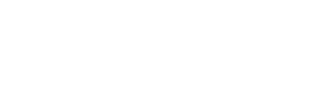 Romanzo Varesino